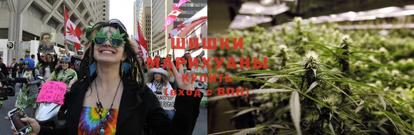 a pvp Богданович